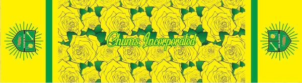 CHUMS Oblong Scarf